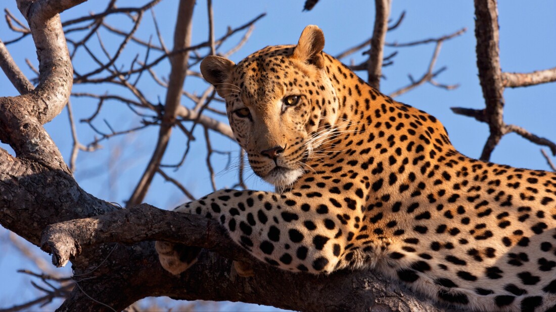 Povedali o nás - Victory Travel