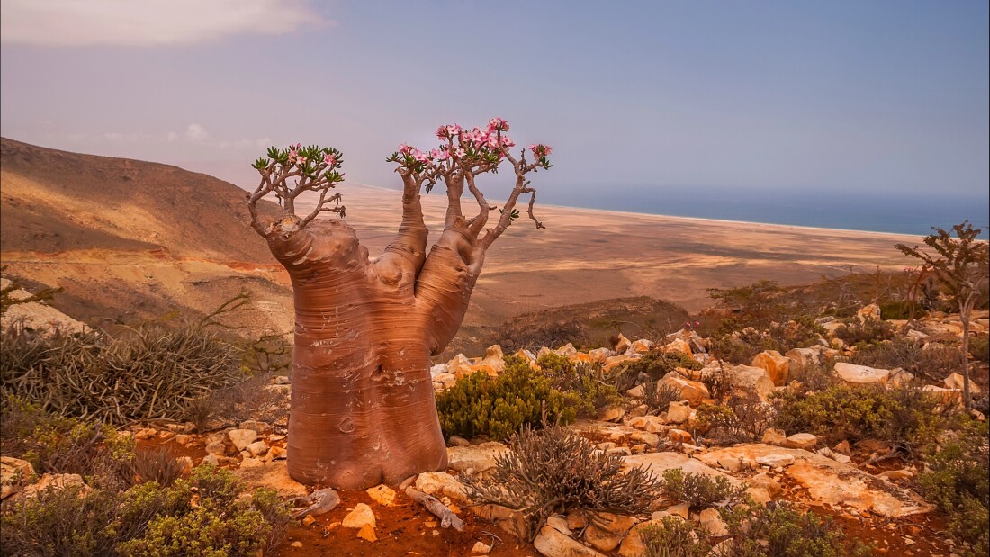 Povedali o nás - Victory Travel