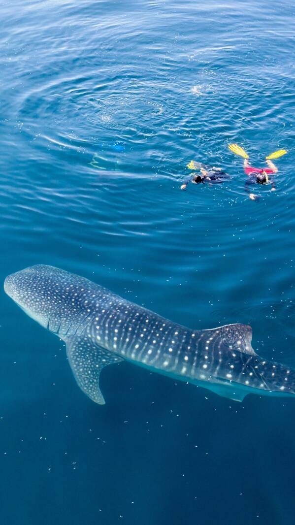 Victory Travel - Maldivy