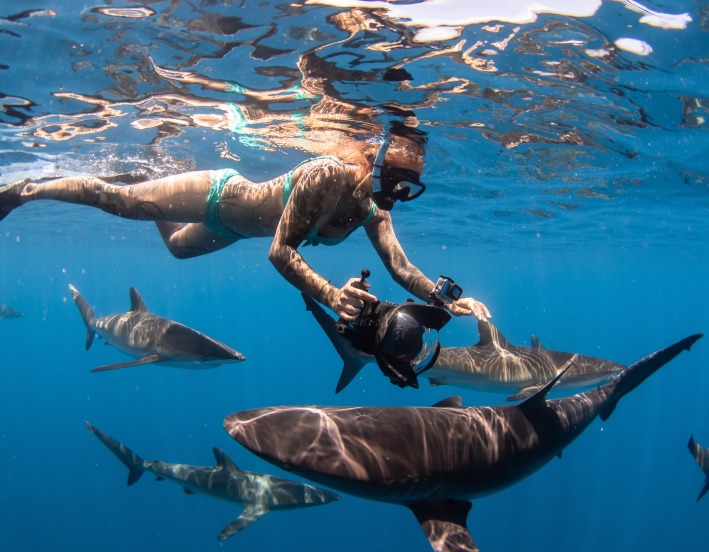 ochrana-zralokov-v-mexiku-baja-california-lucia-baranova-audioblog-ck-victory-travel