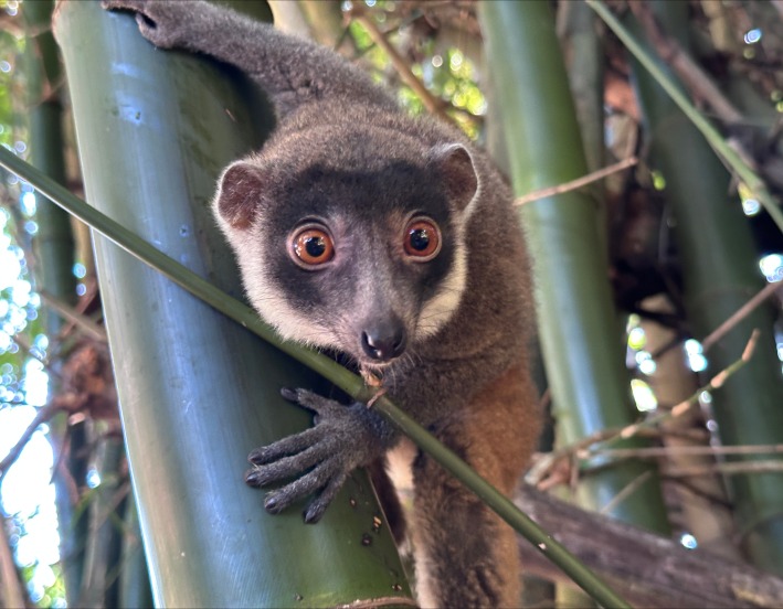 komory-posledny-raj-na-zemi-peter-koutny-audioblog-ck-victory-travel