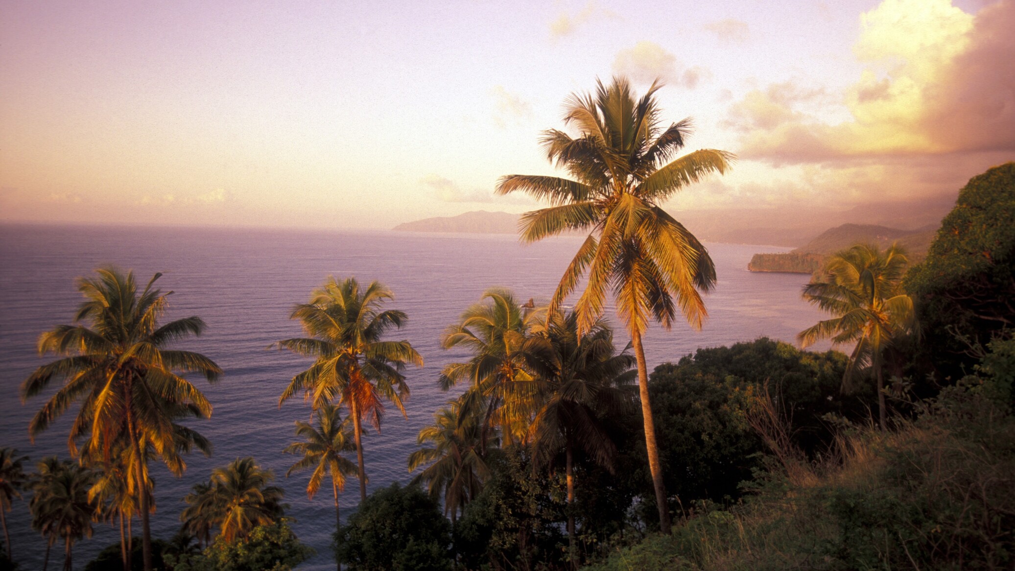 Zájazd CK Victory Travel - KOMORY - POSLEDNÁ EXOTIKA