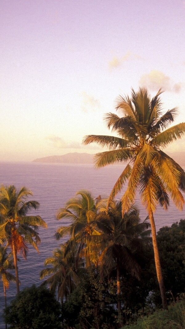 Zájazd CK Victory Travel - KOMORY - POSLEDNÁ EXOTIKA