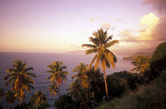 Zájazd CK Victory Travel - KOMORY - POSLEDNÁ EXOTIKA