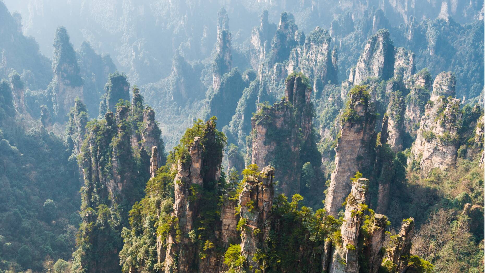 victory-travel-cina